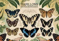 Affiche papillons extraordinaires illustration naturelle