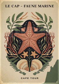 Affiche étoile de mer et faune marine Cape Tour
