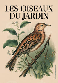 Poster naturaliste "Les oiseaux du jardin"