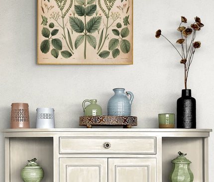 affiche vintage plante