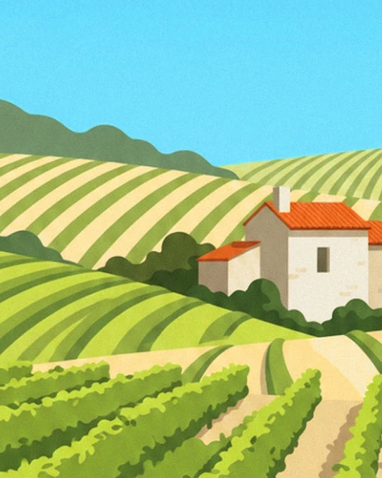 Une maison aux toits orangés parmi les rangs de vignes et les collines sous le ciel bleu