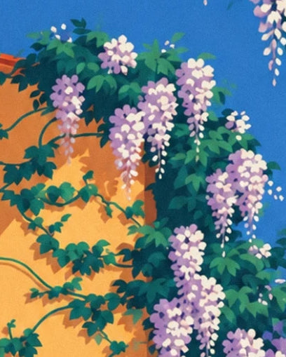 Les grappes de glycine mauves et blanches sur le mur ocre de la trattoria