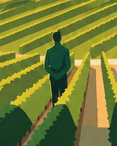 Une silhouette vert sombre au milieu des rangées de vignes baignées de jaune