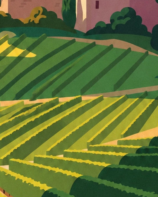 Les rangs de vignes verts et jaunes dessinant les coteaux sous les maisons
