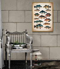 Affiche poissons, planche naturaliste vintage