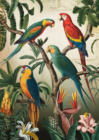 Affiche perroquets tropicaux illustration naturaliste