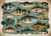 Affiche poissons d'eau douce vintage illustration naturelle