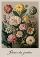 Affiche jardin fleuri style botanique classique