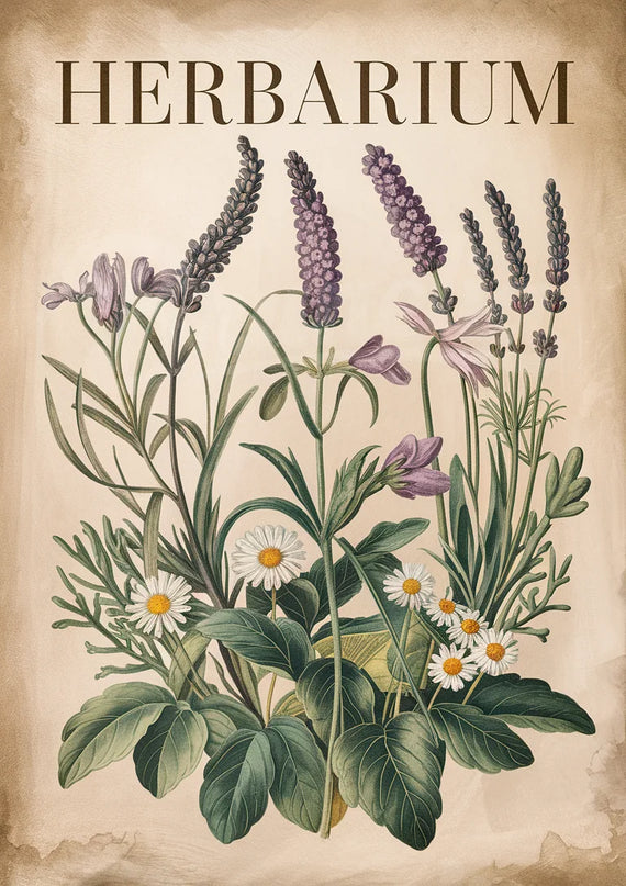 Affiche vintage jardin