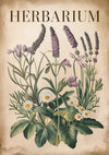 Affiche herbier avec lavande et marguerites