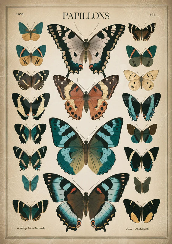 affiche vintage papillon