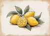 Affiche fruits frais illustration citron jaune