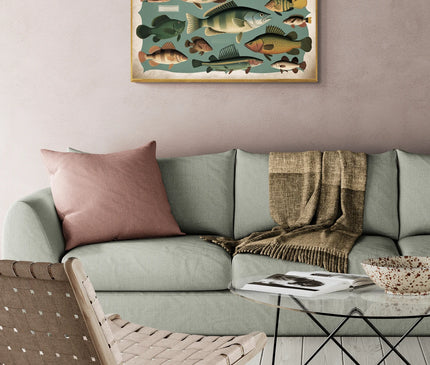 affiche vintage poisson