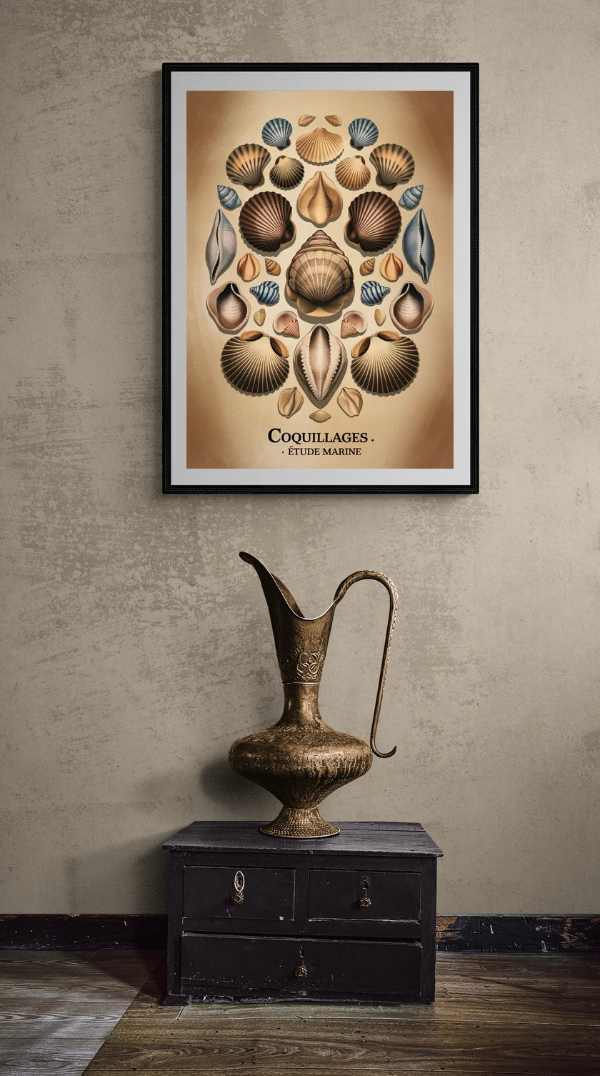 Mise en situation de Affiche coquillages étude marine scientifique
