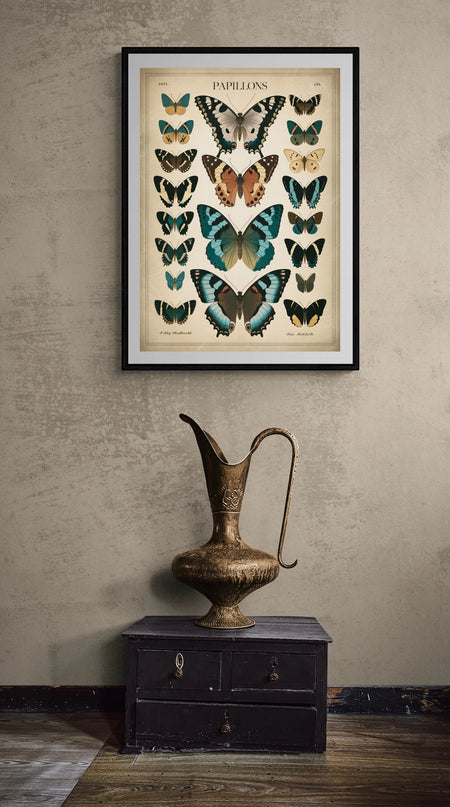 affiche vintage papillon