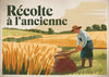 Affiche moisson ancienne femme aux champs