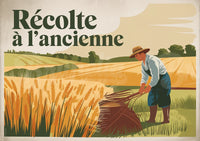 Affiche moisson ancienne femme aux champs