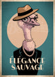 Affiche autruche élégante chapeau panama années 1920