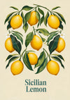 Affiche Citrons Siciliens style botanique rétro