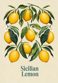 Affiche Citrons Siciliens style botanique rétro