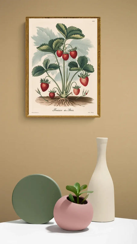 affiche botanique vintage
