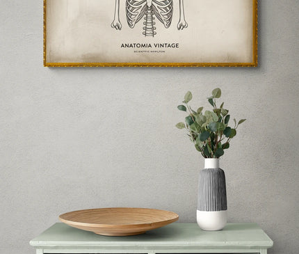 affiche corps humain vintage