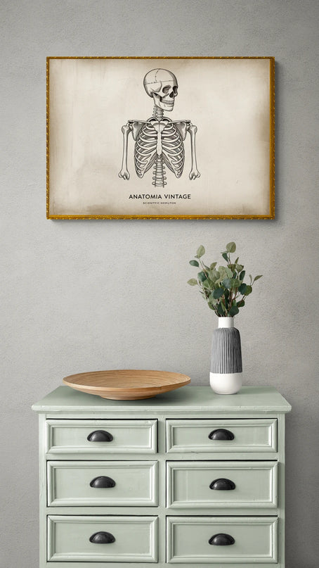 affiche corps humain vintage