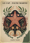 Affiche étoile de mer et faune marine Cape Tour