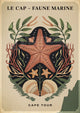 Affiche étoile de mer et faune marine Cape Tour
