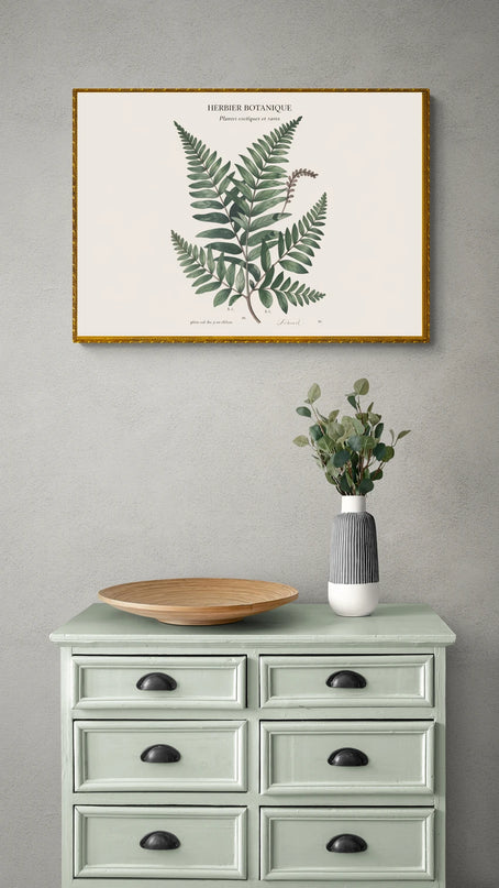 affiche vintage botanique
