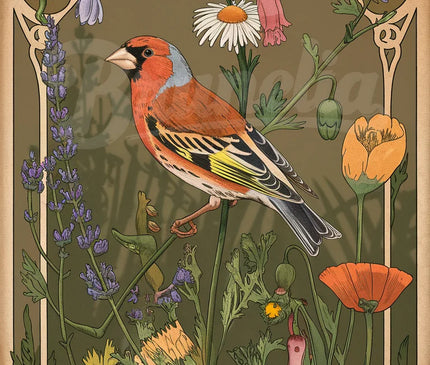Affiche vintage pinson et fleurs sauvages