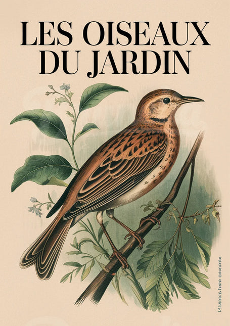 Affiche vintage oiseau sur branche
