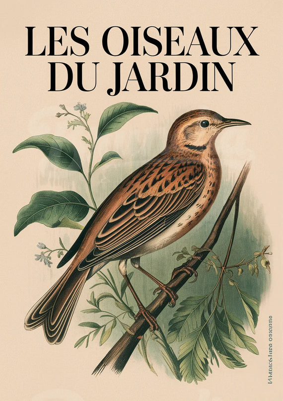 Affiche vintage oiseau sur branche