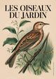 Affiche Les Oiseaux du Jardin illustration ornithologique