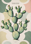 Affiche illustration cactus opuntia botanique