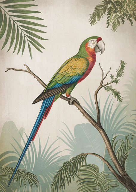 Affiche vintage perroquet coloré