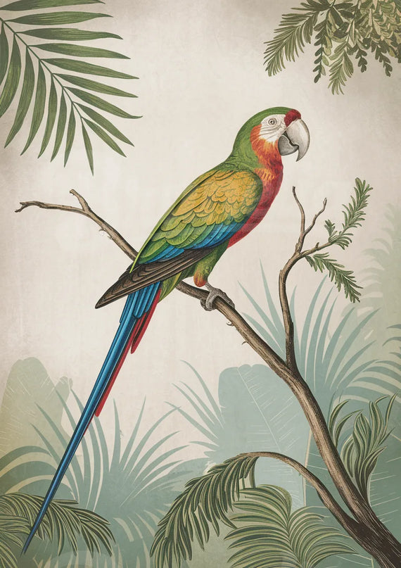 Affiche vintage perroquet colorĂ©
