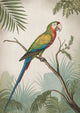 Affiche perroquet ara tropical illustration naturaliste