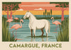 Affiche Cheval blanc Camargue flamants roses