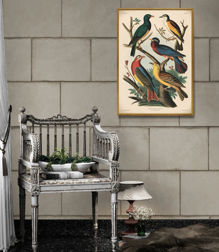 affiche oiseaux vintage
