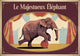 Affiche éléphant de cirque vintage années 1920