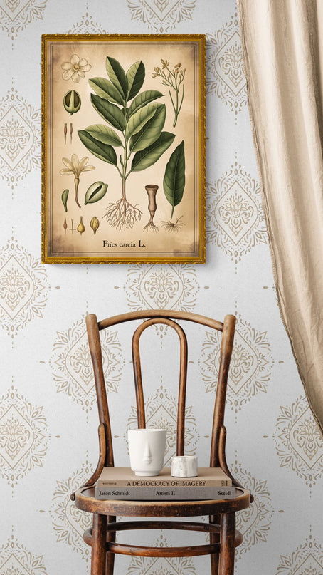 affiche plantes vintage