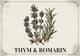 Affiche herbes aromatiques thym romarin