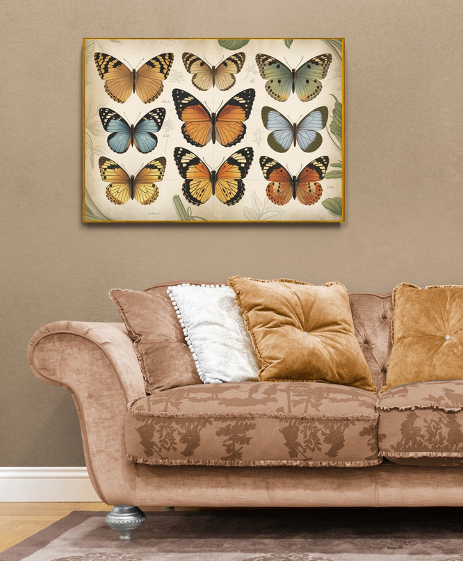 affiche vintage papillon
