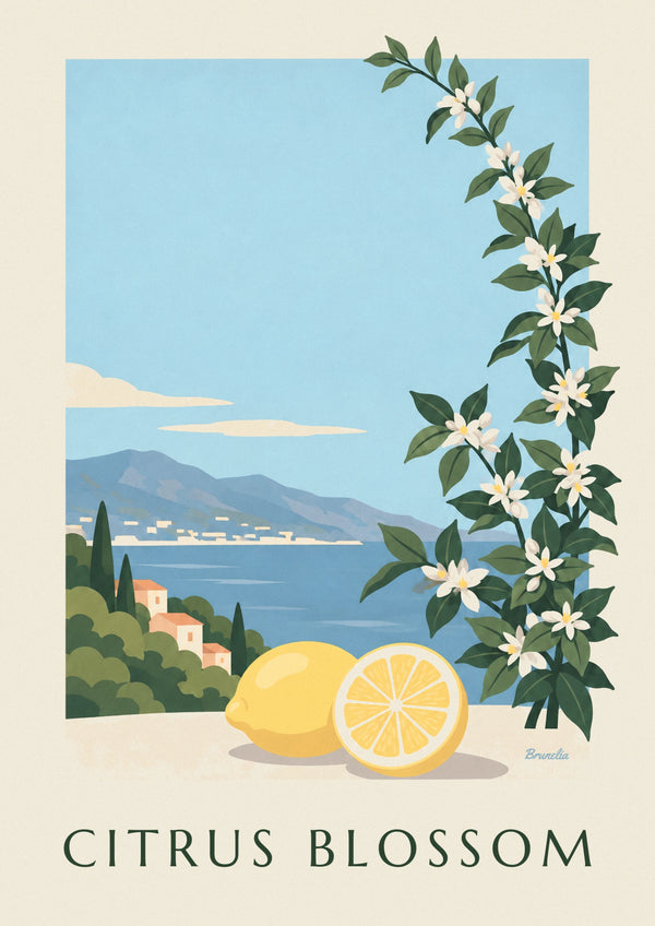 Affiche citron, demi-citron et fleurs blanches de citronnier