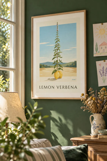 Affiche gravure botanique de citron et verveine citronnelle : encadrée au mur
