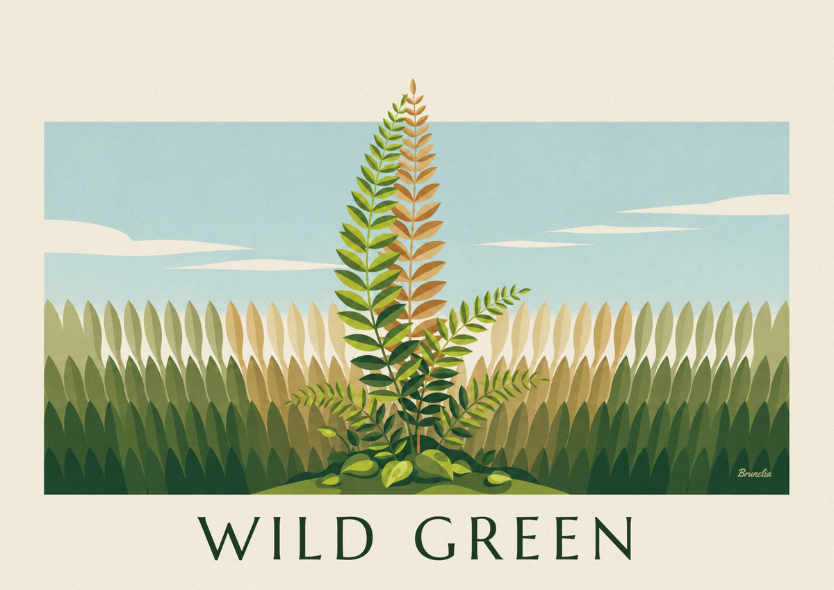 Affiche botanique fougère verte, planche d'étude naturaliste