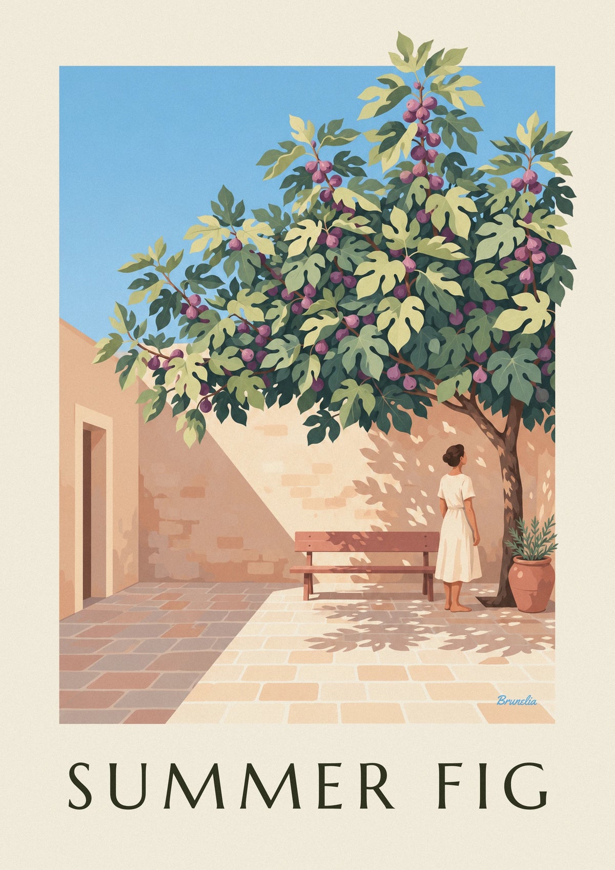 Affiche figuier chargé de figues violettes dans une cour en pierre