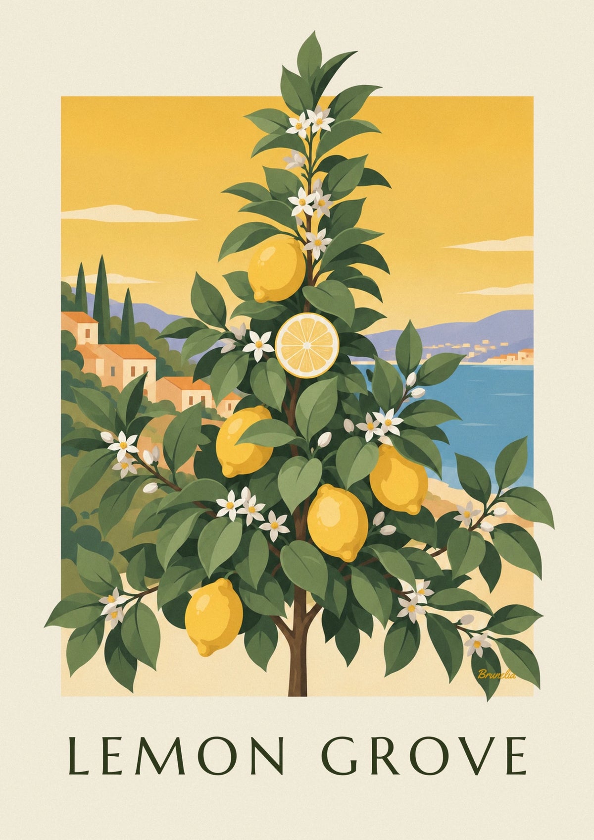 Affiche planche botanique du citronnier en fleurs et en fruits