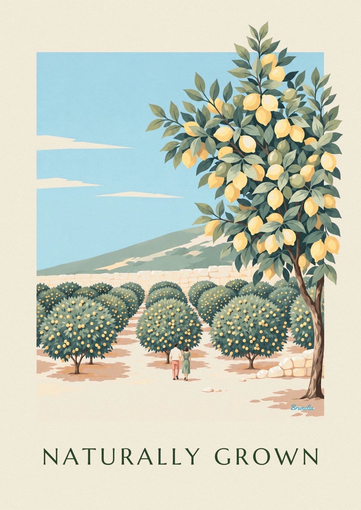 Affiche citronneraie en rangées au pied d'une colline ensoleillée